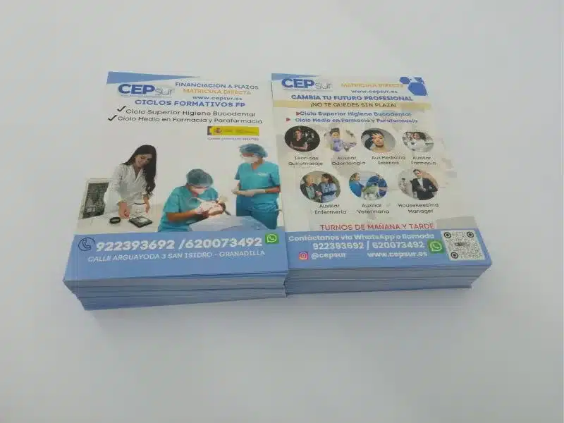 flyer cep sur 2 Impresión Flyers CEP SUR 2